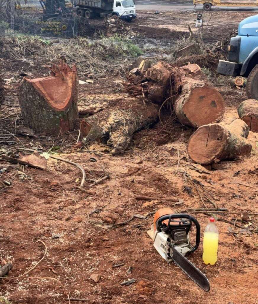Ações da Polícia Militar Ambiental resultam em multas e apreensões por desmatamento ilegal 3 WhatsApp Image 2026 06 23 at 20.46.28