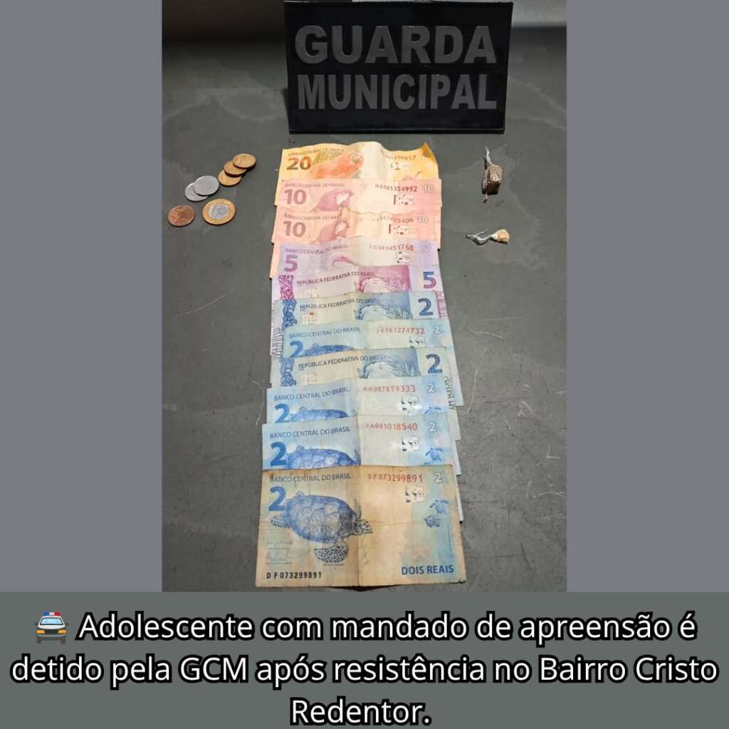 Resumo. Ações da Guarda Civil Municipal de Porto Ferreira 2 1bf231f7 b3e3 46ec b6e9 b75626a4c65b