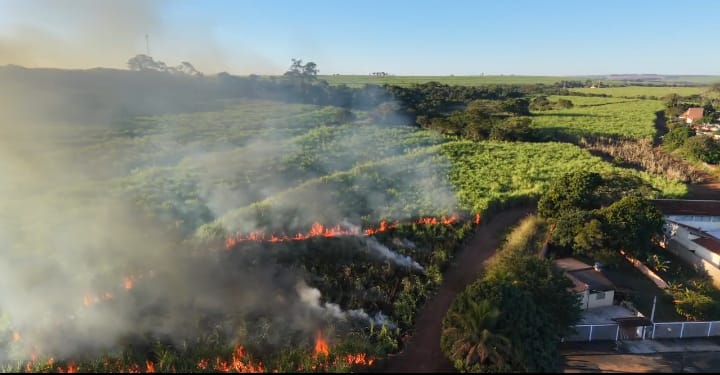 Operação “Guardião das Florestas”: Polícia Militar Ambiental intensifica fiscalização no interior de SP 16 49355271 bdf9 42e1 b50a 799d1bf83c8d