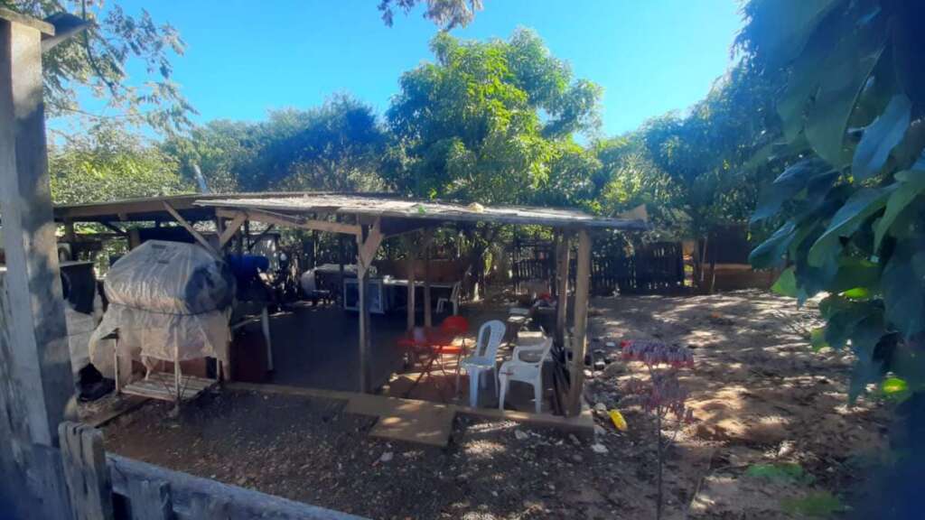 Operação “Guardião das Florestas”: Polícia Militar Ambiental intensifica fiscalização no interior de SP 17 61f2d4a4 5bb3 4a99 a6a4 d79e8aab9a12