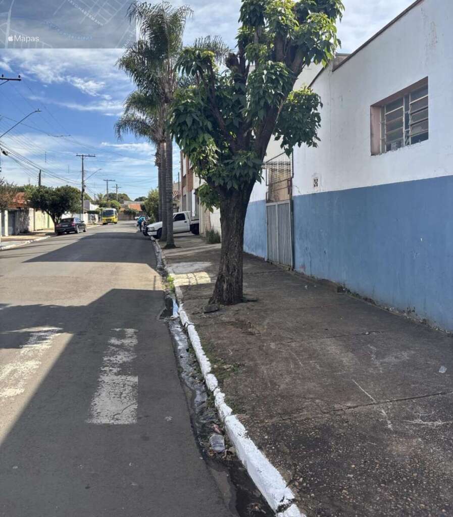 Operação “Guardião das Florestas”: Polícia Militar Ambiental intensifica fiscalização no interior de SP 4 6864970d 33bb 4caa 8757 e852fe451bf1