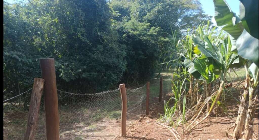 Confira os destaques desta edição da 2ª Cia. PM de Policiamento Ambiental 2 92ee2145 2f74 48d8 ba96 a30d1f76e5e0