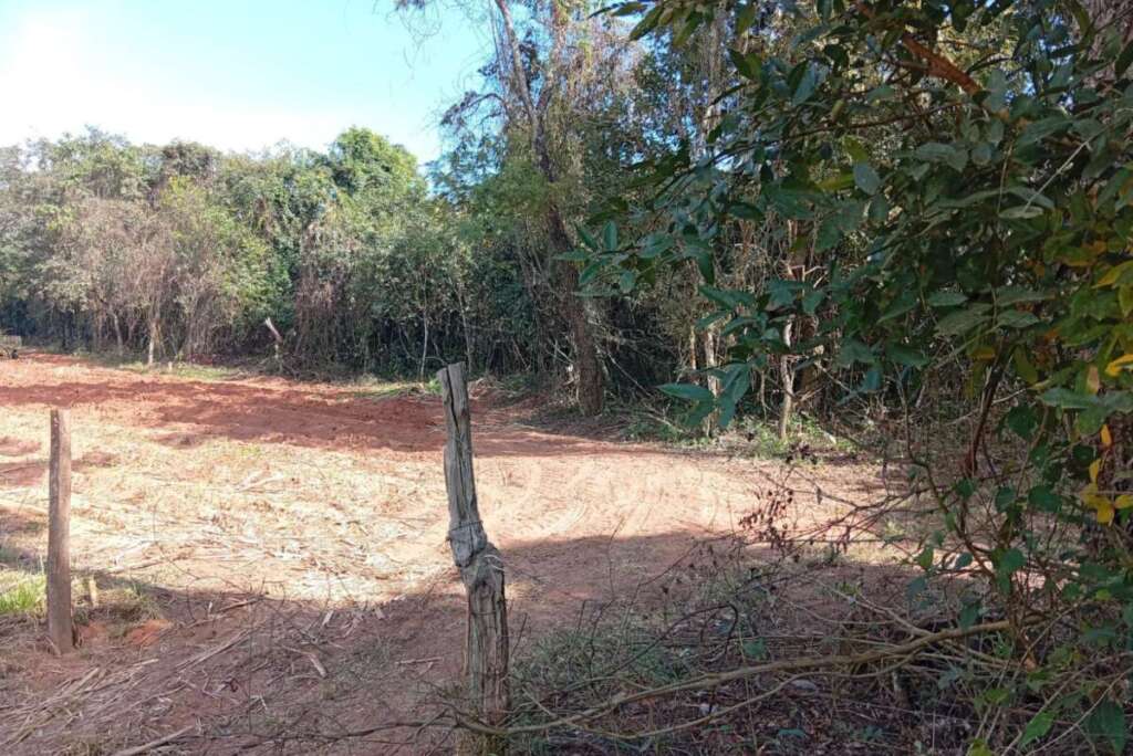 Operação “Guardião das Florestas”: Polícia Militar Ambiental intensifica fiscalização no interior de SP 2 95b5f55d 0584 47e8 89ee adcab9a741c5 1