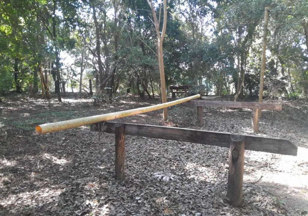 Balanço Operacional: Polícia Militar Ambiental realiza diversas ações no interior paulista 10 IMG 20260709 WA0033