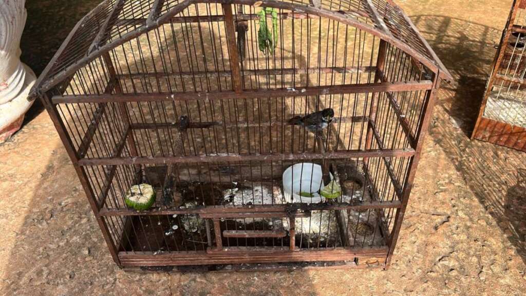 Balanço Operacional: Polícia Militar Ambiental realiza diversas ações no interior paulista 15 IMG 20260709 WA0036