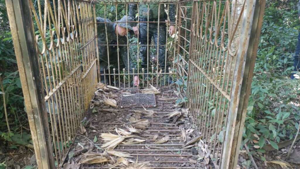 Polícia Ambiental realiza fiscalizações, resgate de animal e destrói armadilhas de caça na região 4 IMG 20260711 WA0049