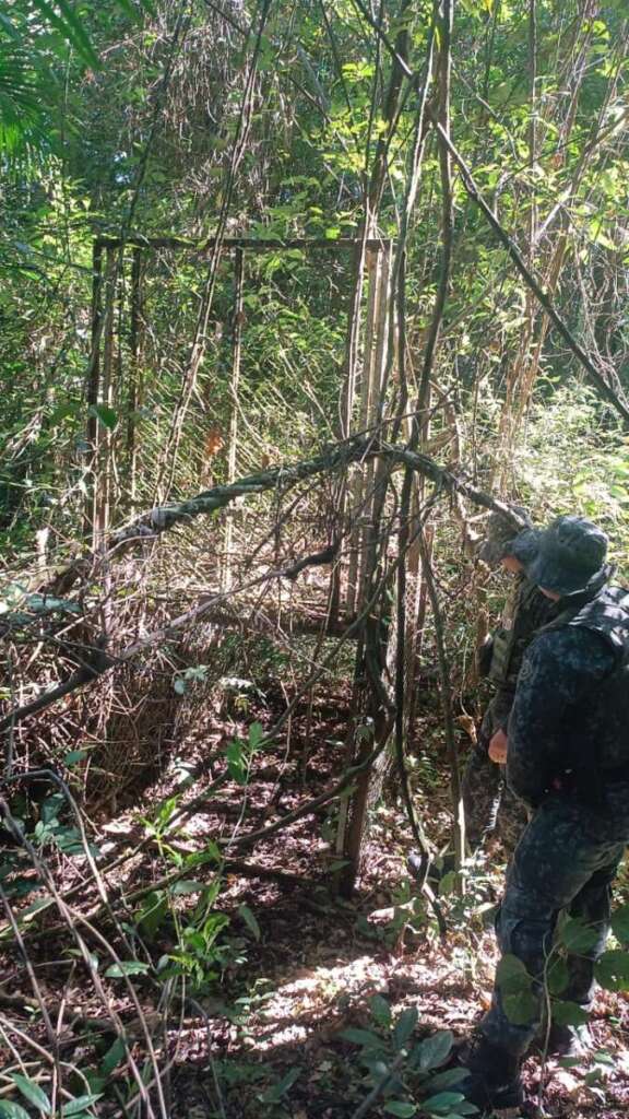 Polícia Ambiental realiza fiscalizações, resgate de animal e destrói armadilhas de caça na região 5 IMG 20260711 WA0053