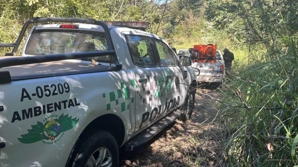 Polícia Ambiental realiza fiscalizações, resgate de animal e destrói armadilhas de caça na região 1 WhatsApp Image 2026 07 11 at 18.56.13