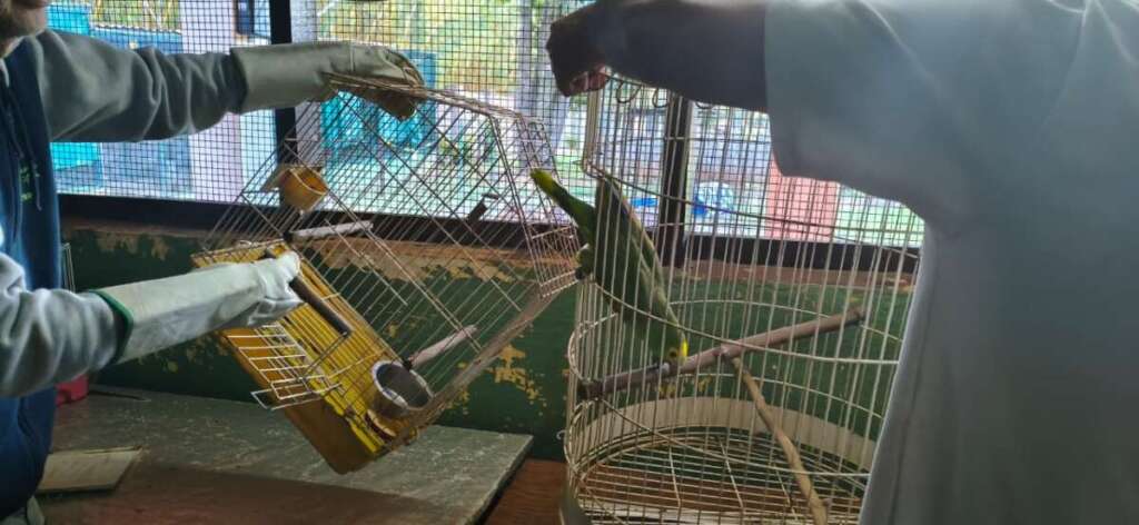 Ambiental apreende máquinas agrícolas e reforça combate a crimes ambientais 5 WhatsApp Image 2026 07 13 at 17.46.41