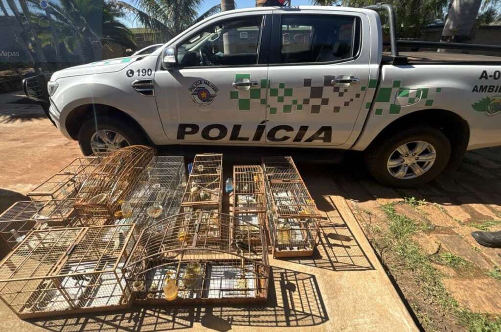 Polícia Ambiental aplica R$ 119,8 mil em multas e embarga área em operação regional 1 WhatsApp Image 2026 07 15 at 18.09.22