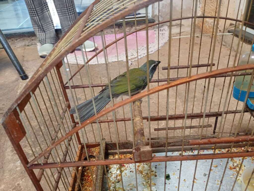 Polícia Ambiental aplica R$ 119,8 mil em multas e embarga área em operação regional 2 WhatsApp Image 2026 07 15 at 18.09.23 1