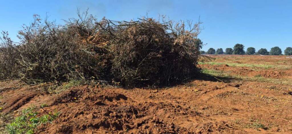 Polícia Ambiental aplica R$ 119,8 mil em multas e embarga área em operação regional 5 WhatsApp Image 2026 07 15 at 18.42.10 1