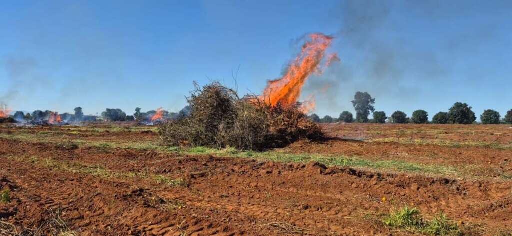 Polícia Ambiental aplica R$ 119,8 mil em multas e embarga área em operação regional 4 WhatsApp Image 2026 07 15 at 18.42.10