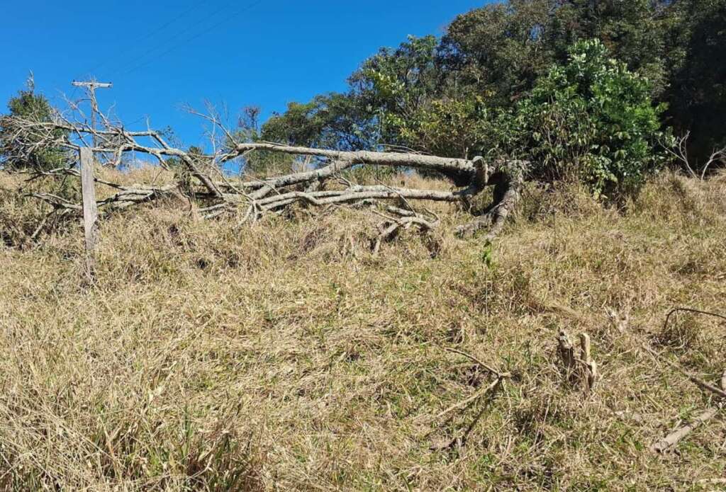 Operação “Guardião das Florestas”: Polícia Militar Ambiental intensifica fiscalização no interior de SP 19 WhatsApp Image 2026 07 16 at 18.58.29