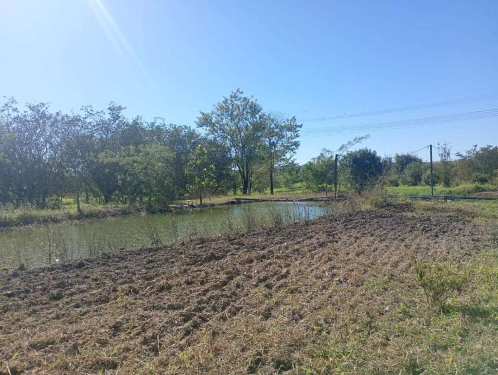 Operação “Guardião das Florestas”: Polícia Militar Ambiental intensifica fiscalização no interior de SP 15 WhatsApp Image 2026 07 17 at 18.54.03