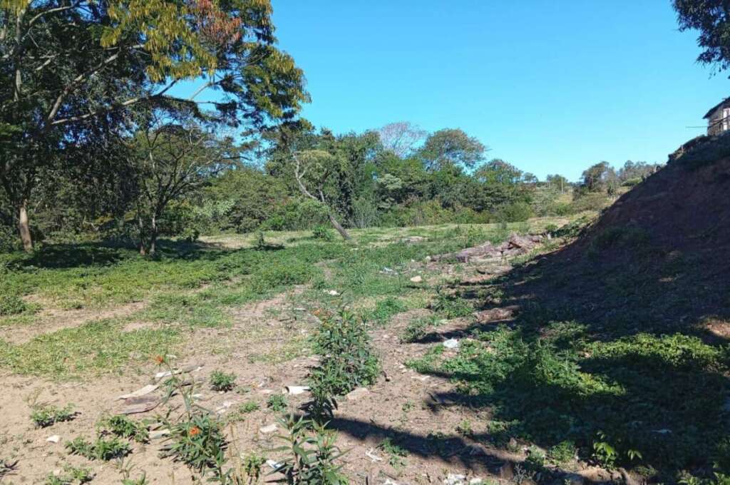 Operação “Guardião das Florestas”: Polícia Militar Ambiental intensifica fiscalização no interior de SP 13 WhatsApp Image 2026 07 17 at 19.40.22