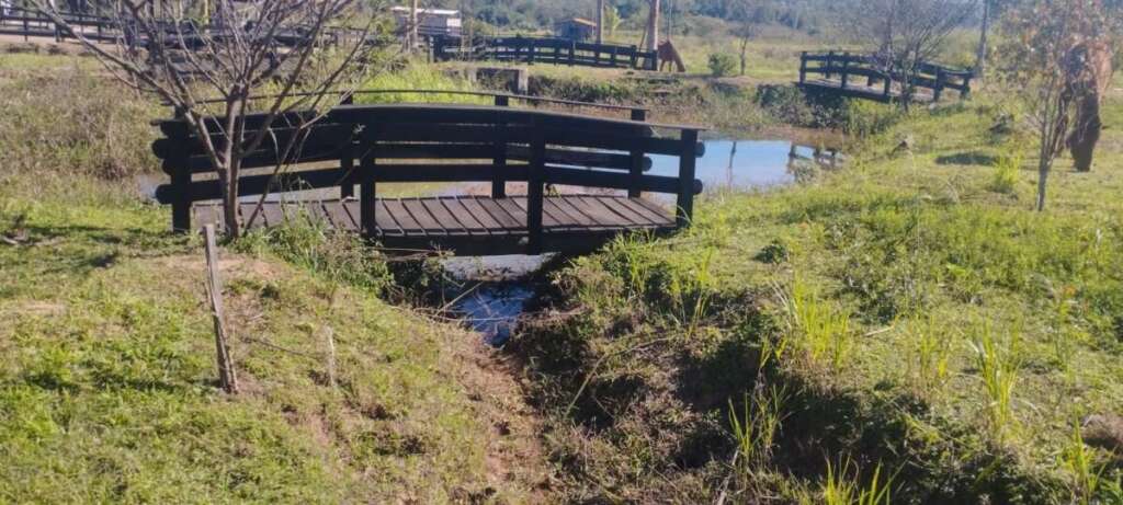 Operação “Guardião das Florestas”: Polícia Militar Ambiental intensifica fiscalização no interior de SP 14 WhatsApp Image 2026 07 17 at 20.32.41