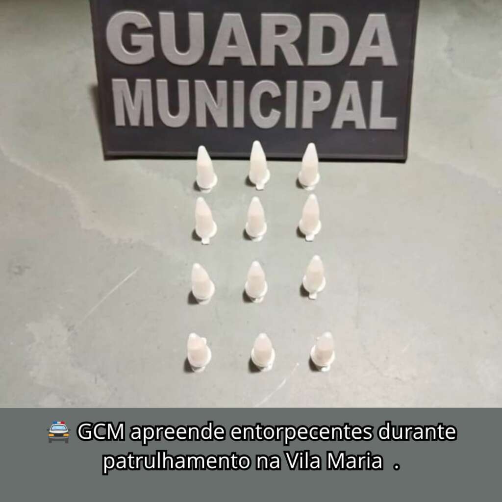 Resumo. Ações da Guarda Civil Municipal de Porto Ferreira 6 WhatsApp Image 2026 07 20 at 17.51.39