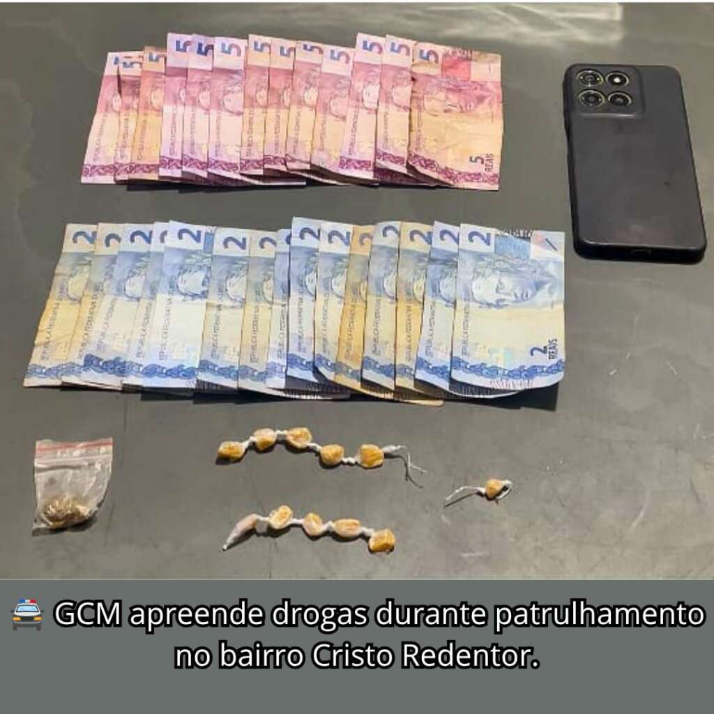 Resumo. Ações da Guarda Civil Municipal de Porto Ferreira 4 WhatsApp Image 2026 07 24 at 09.38.02 1