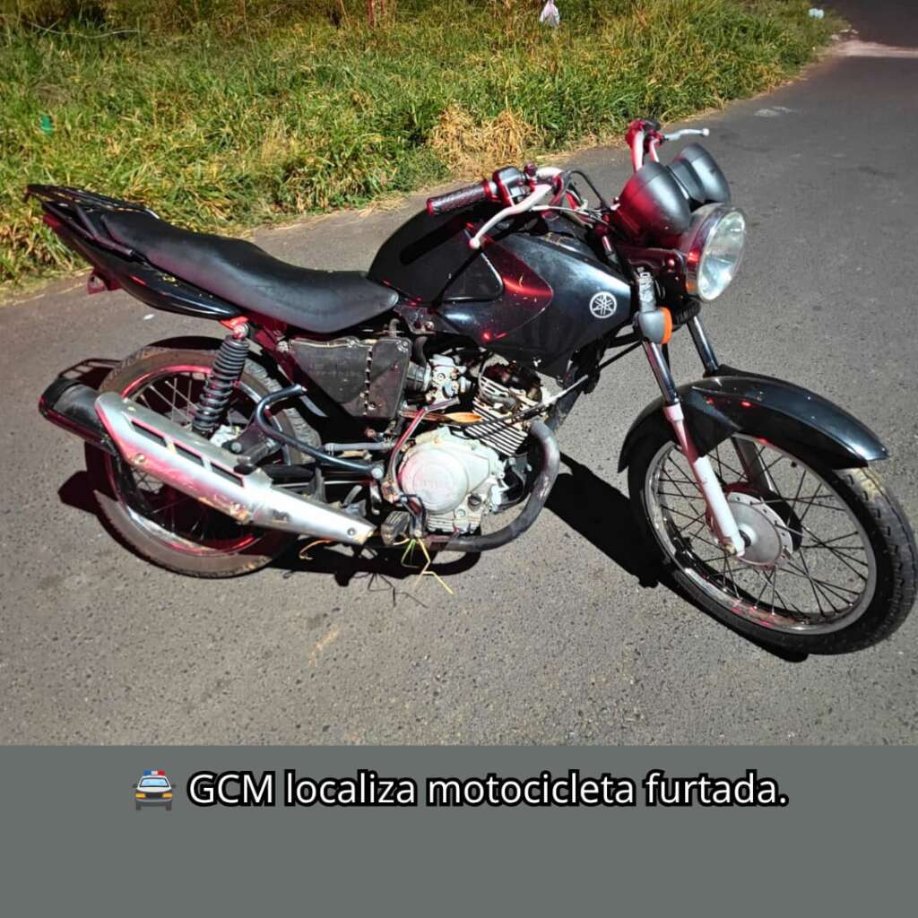 Resumo. Ações da Guarda Civil Municipal de Porto Ferreira 5 WhatsApp Image 2026 07 24 at 09.38.02