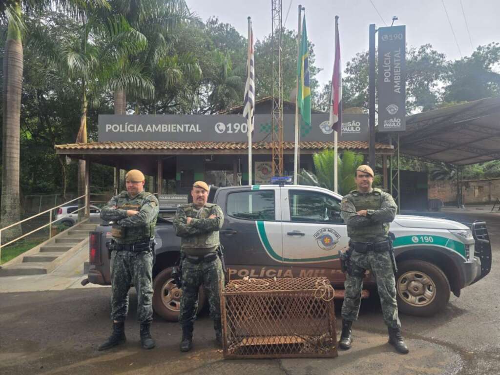 PM Ambiental atuante contra os crimes ambientais. Pássaro e Armadilhas 1 WhatsApp Image 2026 07 26 at 18.26.07
