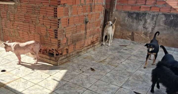 WhatsApp Image 2026 07 30 at 21.44.46