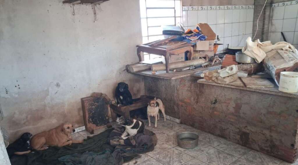 Leme. Ação de averiguação de maus tratos a animais uniram Polícia Civil e PM Ambiental 4 WhatsApp Image 2026 07 30 at 21.44.47 1