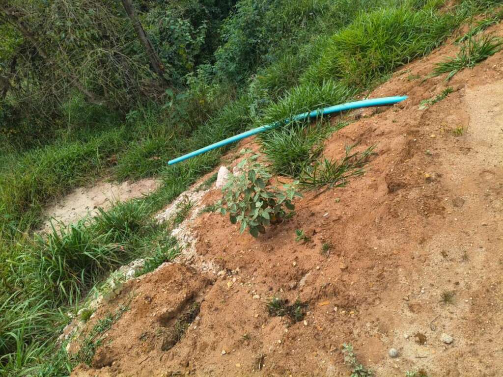 PM Ambiental age contra infrações ambientais em Pirassununga e Analândia 4 WhatsApp Image 2026 08 04 at 19.12.24 2