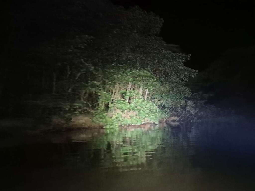 WhatsApp Image 2026 08 12 at 15.58.45 1