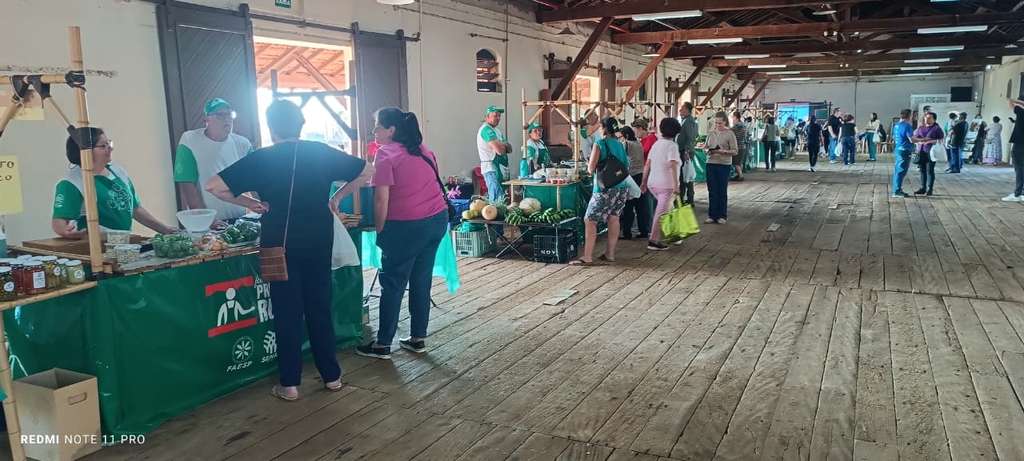 Feira do Agricultor de Pirassununga inicia nova fase após cobranças da imprensa local 3 22cc847b 28bd 4827 bec5 eef7a91b51bf