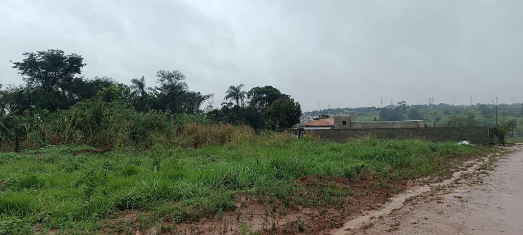 Polícia Militar Ambiental deflagra Operação "Dia da Árvore" na região 2 WhatsApp Image 2026 09 14 at 22.47.59