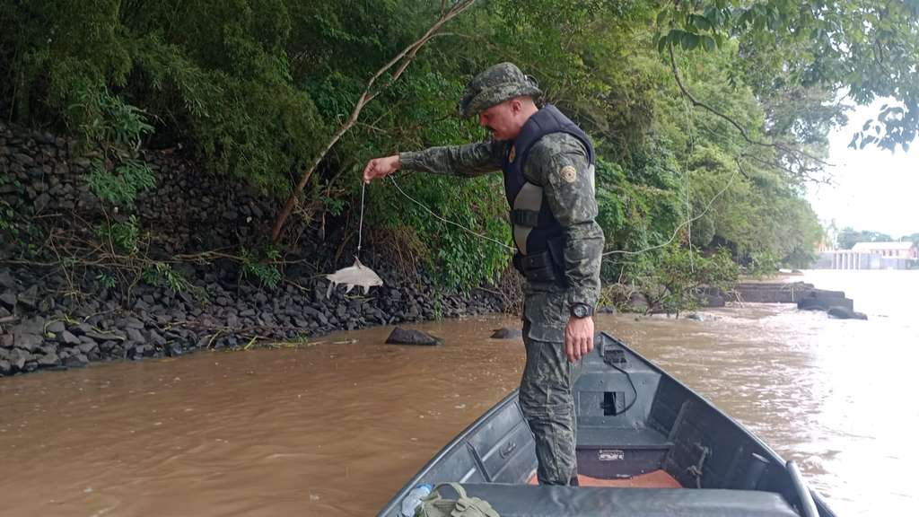 Polícia Militar Ambiental intensifica fiscalização e combate a crimes ambientais na região 4 WhatsApp Image 2026 10 16 at 17.51.27