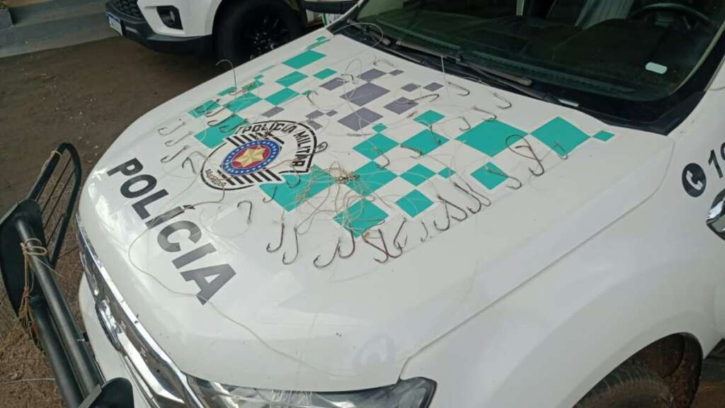 Polícia Militar Ambiental intensifica fiscalização e combate a crimes ambientais na região 1 WhatsApp Image 2026 10 16 at 17.51.29