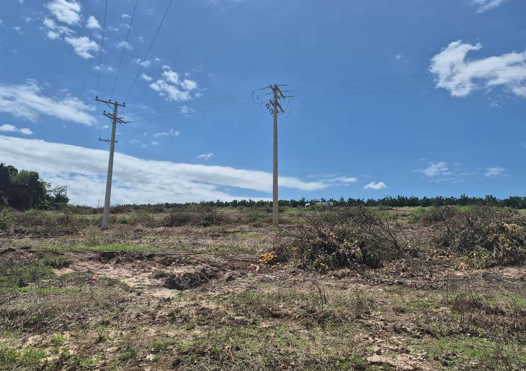 Polícia Militar Ambiental intensifica fiscalização e combate a crimes ambientais na região 7 WhatsApp Image 2026 10 18 at 21.14.34