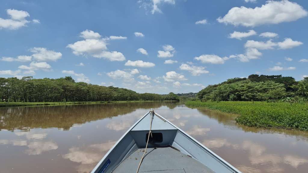 Polícia Militar Ambiental intensifica fiscalização e combate a crimes ambientais na região 8 WhatsApp Image 2026 10 19 at 17.11.54